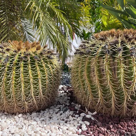 Casa Bellavista Tenerife