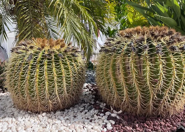 Casa Bellavista Tenerife